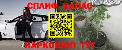 альфа пвп Заводоуковск