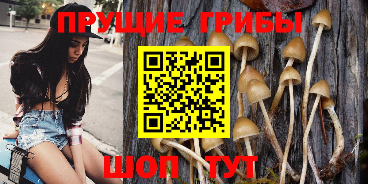 Минеральные Воды  Псилоцибиновые грибы мухоморы  Вход с VPN 